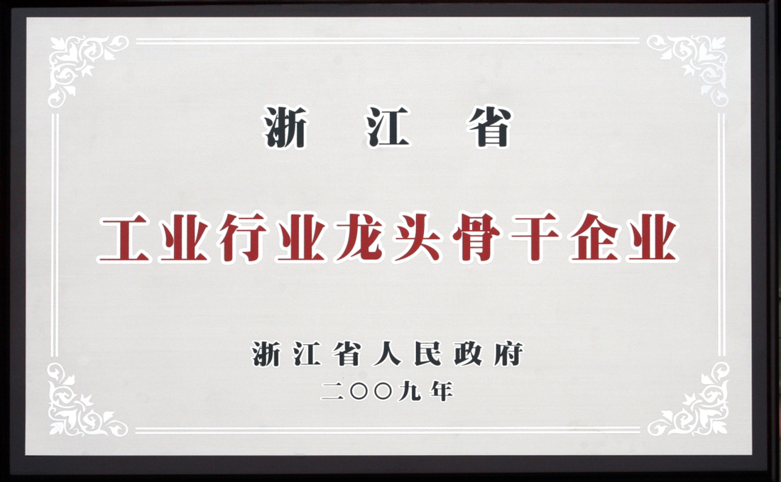 浙江省工業(yè)行業(yè)龍頭骨干企業(yè)